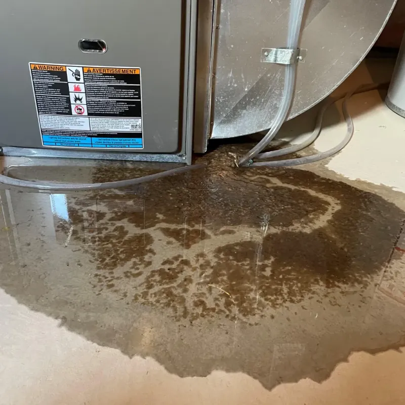 Appliance Leak Cleanup in Costilla County, CO