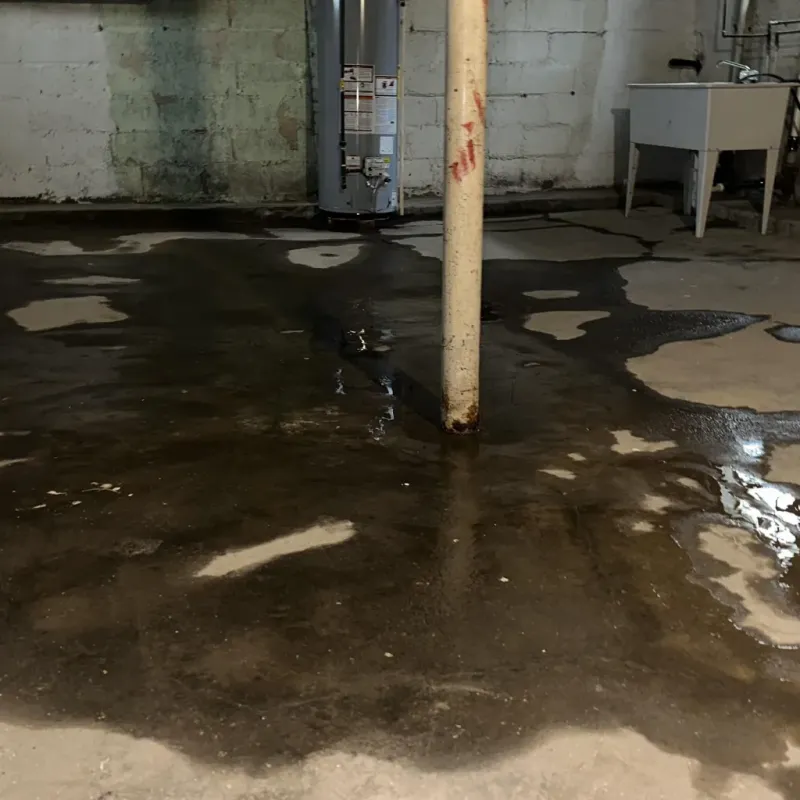 Emergency Water Extraction And Removal in Costilla County, CO